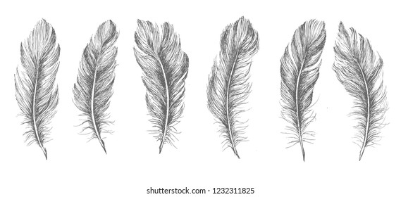 Feather Pattern hand drawn