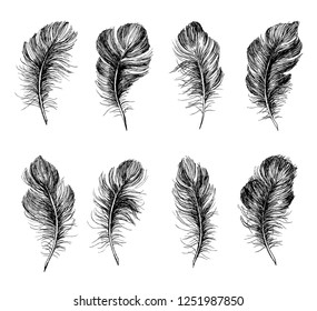 Feather Pattern hand drawn