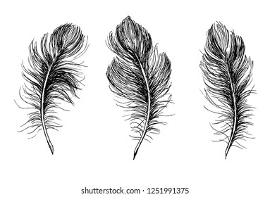 Feather Pattern hand drawn