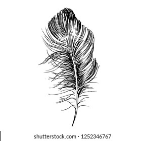 Feather Pattern hand drawn