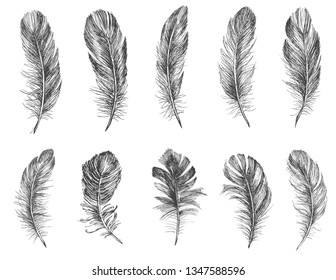 Feather Pattern hand drawn