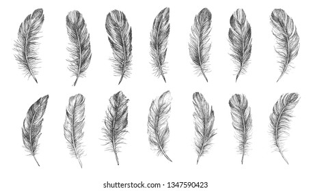 Feather Pattern hand drawn