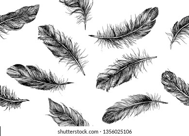 Feather Pattern hand drawn