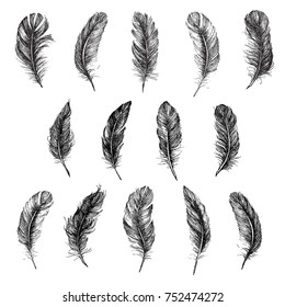 Feather Pattern, hand drawn