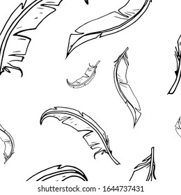 feather pattern. Hand drawn vector illustration with falling different feathers.