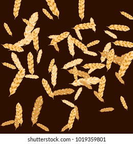 Feather pattern. Vector