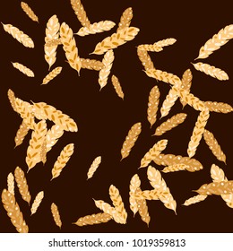 Feather pattern. Vector