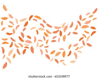Feather pattern vector print. Simple minimalist background with brown and red plumelet. Editable backdrop with flying elements and place for text. Feather vector design, card template. Windy pattern.