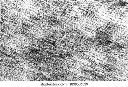 Feather patterns used in textile industry.