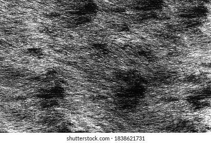 Feather patterns used in textile industry.