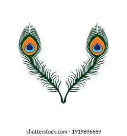 feather peacock abstract luxury icon vector concept design