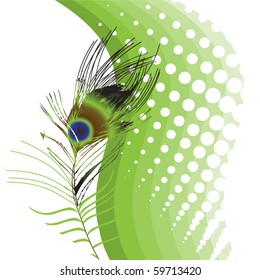 feather peacock design