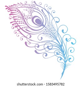 Feather of peacock floral ornament colorful vector