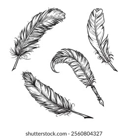 Feather pen guill sketch set. Hand drawn sketch style. Poetry and education symbols. vector illustrations on white.