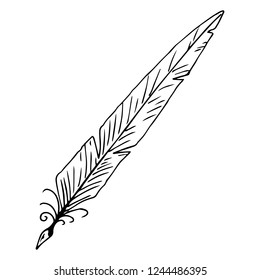 Feather pen hand drawn. Vector illustration ink pen. Feather pen icon.