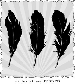 Feather Pen set 1