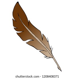 Feather pen. Vector of a feather for calligraphy. Hand drawn feather pen.