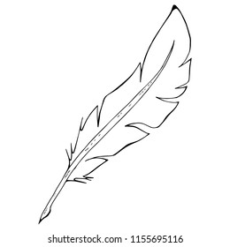 Feather pen deals drawing