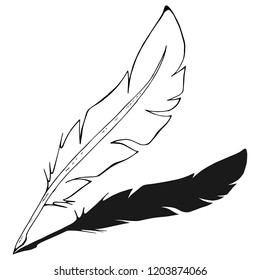Feather pen. Vector illustration of a feather for calligraphy.