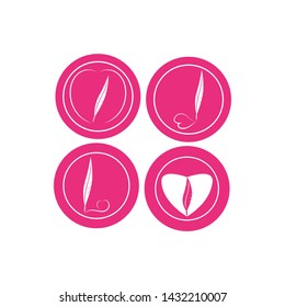 FEATHER PEN WRITE SIGN LOGO TEMPLATE ICONS