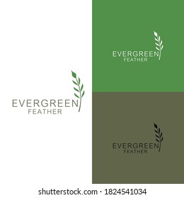 Feather Plume cedar, cypress, larch, spruce, pine, pinus, evergreen, coniferous, conifer, fir, hemlock tree forest logo design