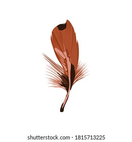 Feather of prey bird. Beautiful detailed brown feather of bird vector illustration isolated on white background