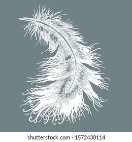 feather print for fabrics for pillows and blankets, white pattern on a gray background