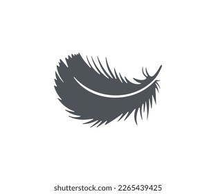 Feather, quill, fluff, bird, plumage, plume, falling and lightweight, silhouette and graphic design. Pillow, fluffy, furry, airy, wing, nature and animal, vector design and illustration