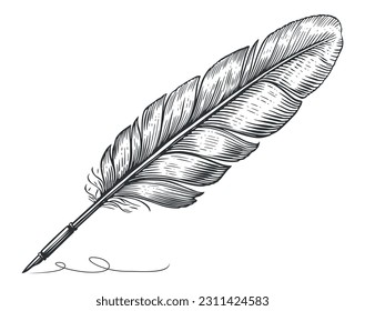 Feather quill pen graphic black white isolated sketch illustration vector