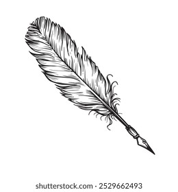 Feather quill pen hand drawn. Sketch retro vintage style. Vector illustration isolated on white.