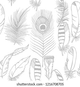 feather seamless pattern hand drawn sketch, peacock, jay