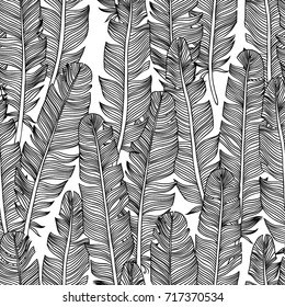 Feather seamless pattern. Hand drawn illustration.