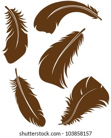Feather Set