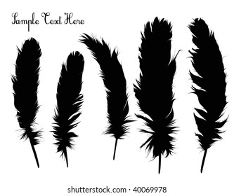 Feather Set