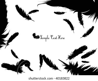 Feather Set