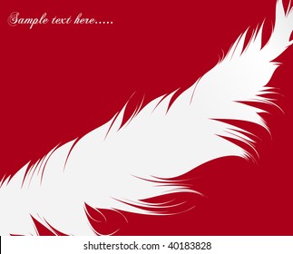 Feather Set