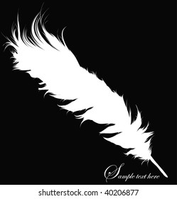 Feather Set