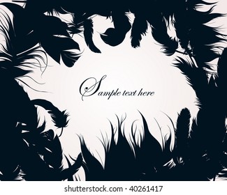 Feather Set