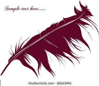Feather Set