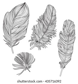 Feather set. Doodle sketch feather collection