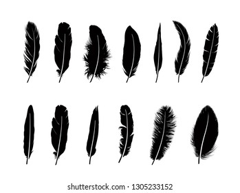 Feather Pattern Hand Drawn Style Vector Stock Vector (Royalty Free ...