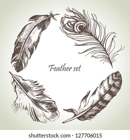 Feather set. Hand drawn illustrations