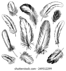 Feather set. Hand drawn vector illustration.