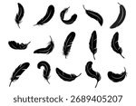 Feather Set icon, logo isolated on white background . Bird Feather silhouette vector set. bird feather vector . 