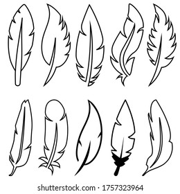 Feather Set icon, logo isolated on white background. antique sign collection. calligraphy symbol.