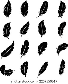 Feder Set Symbol, Logo einzeln auf weißem Hintergrund. Vogelfedern, schwarze Silhouetten. Kollektion Plumelet. Vektorgrafik einzeln auf Weiß. Federsilhouette. 