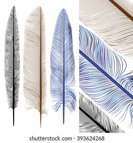feather set isolated on white background.  vector illustration.