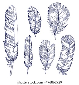 feather set outline hand drawn stock vector illustration