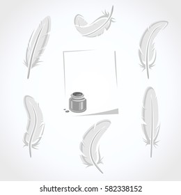 Feather set. Vector