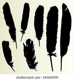 Feather set vector background collection